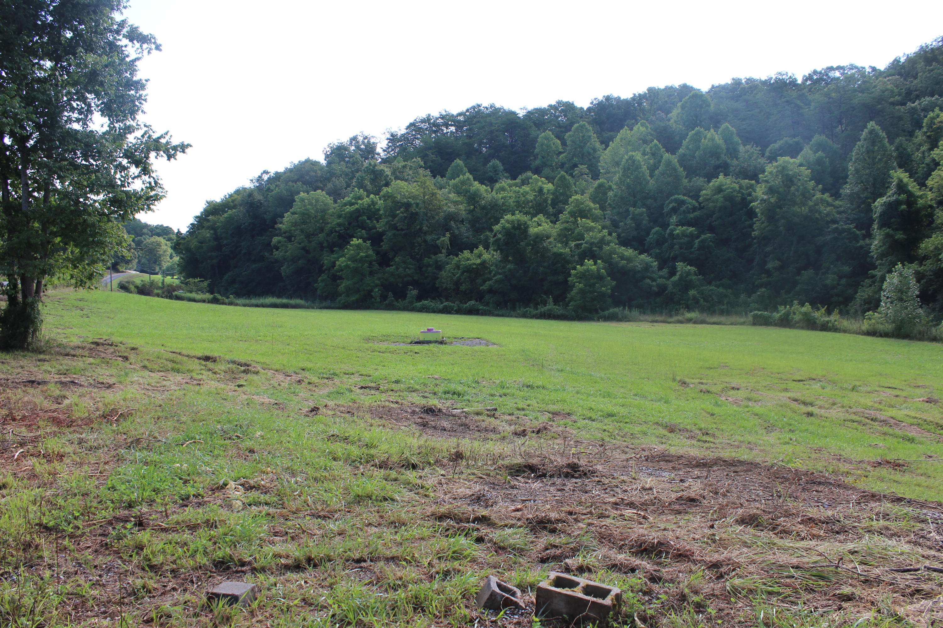 2755 Upper Caney Valley Road Tazewell, TN 37879 - Photo 9 of 23 IMG_9166