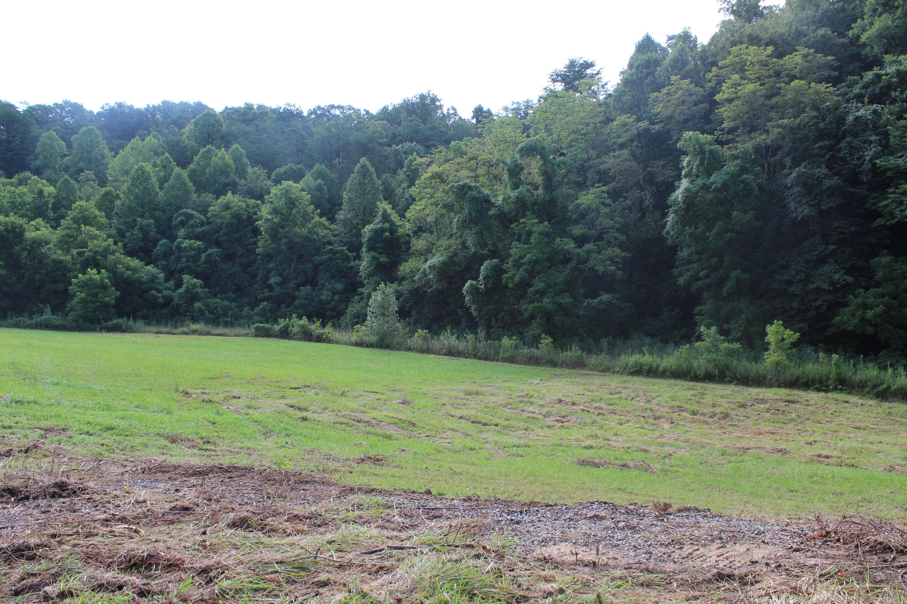 2755 Upper Caney Valley Road Tazewell, TN 37879 - Photo 10 of 23 IMG_9167