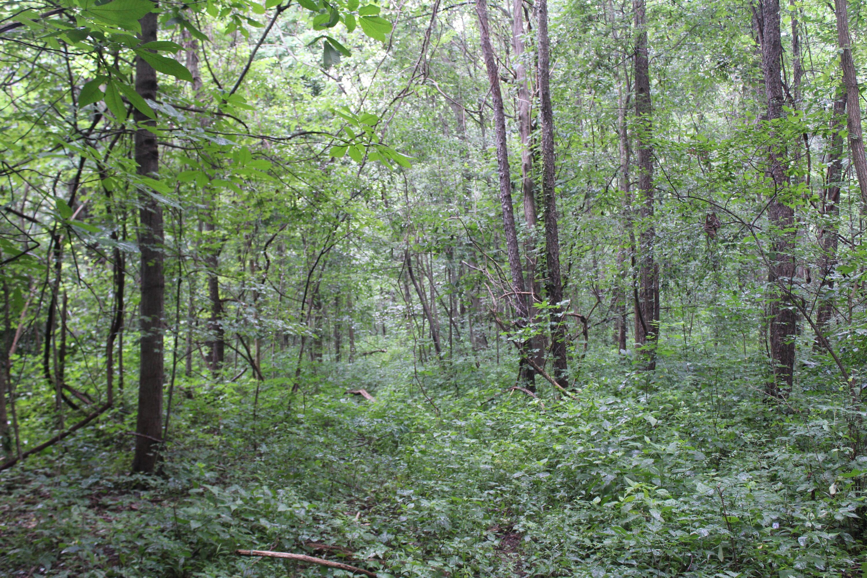 0 State Road Vermilion, OH 44089 - Photo 5 of 18 IMG_3393