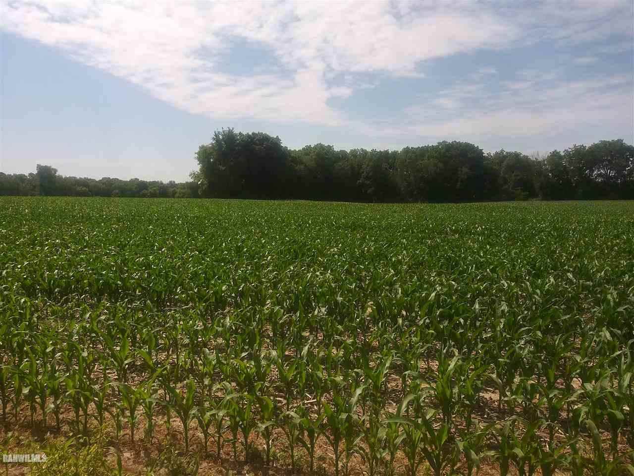 Tbd North Tower Road Freeport, IL 61032 - Photo 5 of 6 a view of a green field with wooden fence