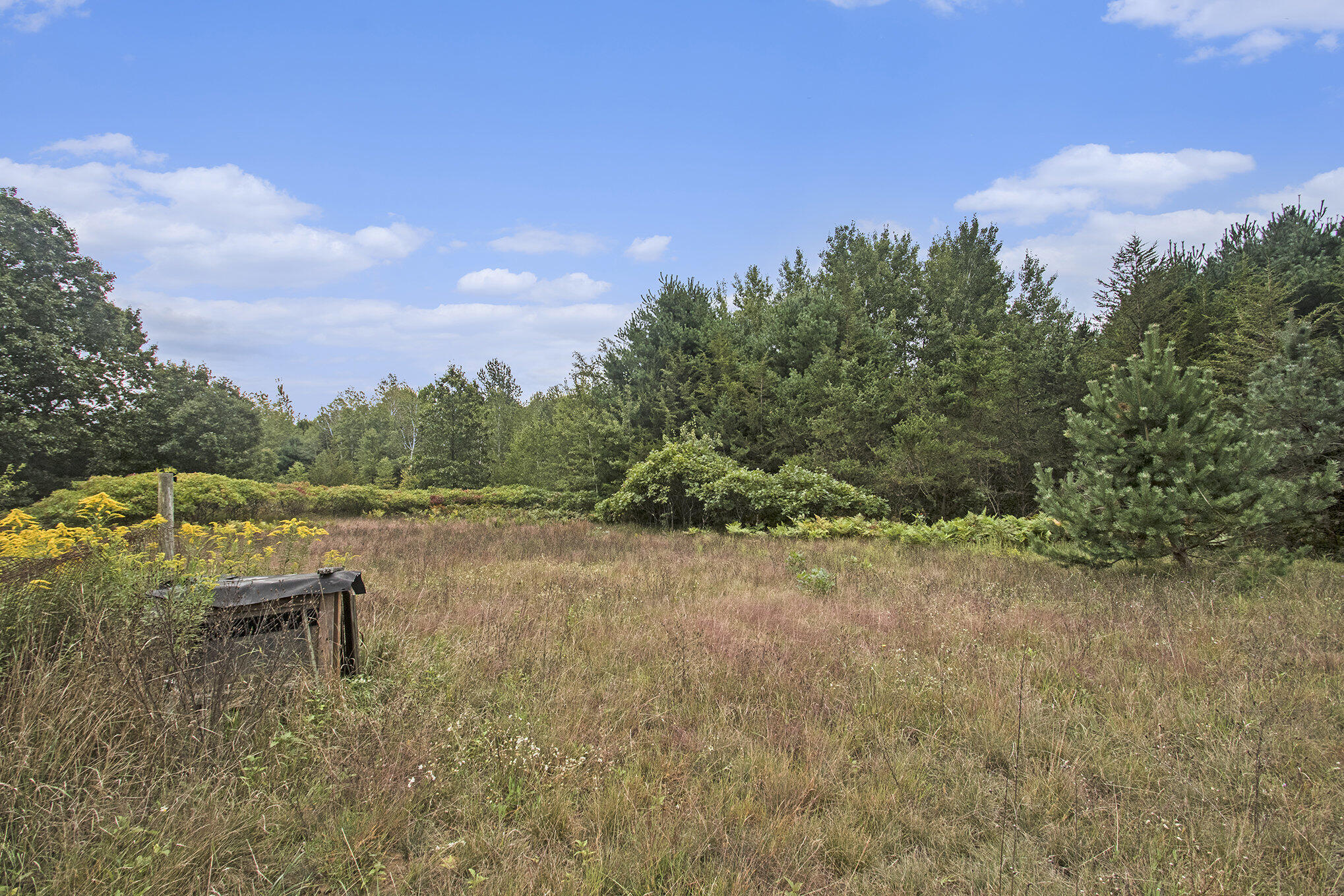 305 55th Street Grand Junction, MI 49056 - Photo 14 of 16 004_file_280