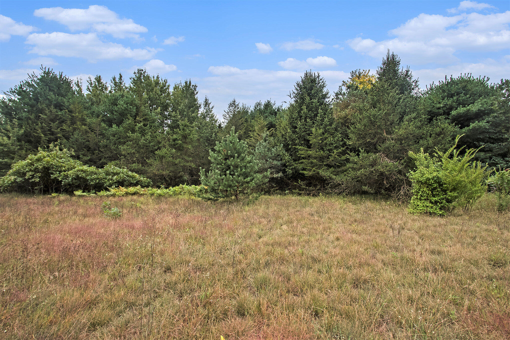 305 55th Street Grand Junction, MI 49056 - Photo 4 of 16 010_file_893