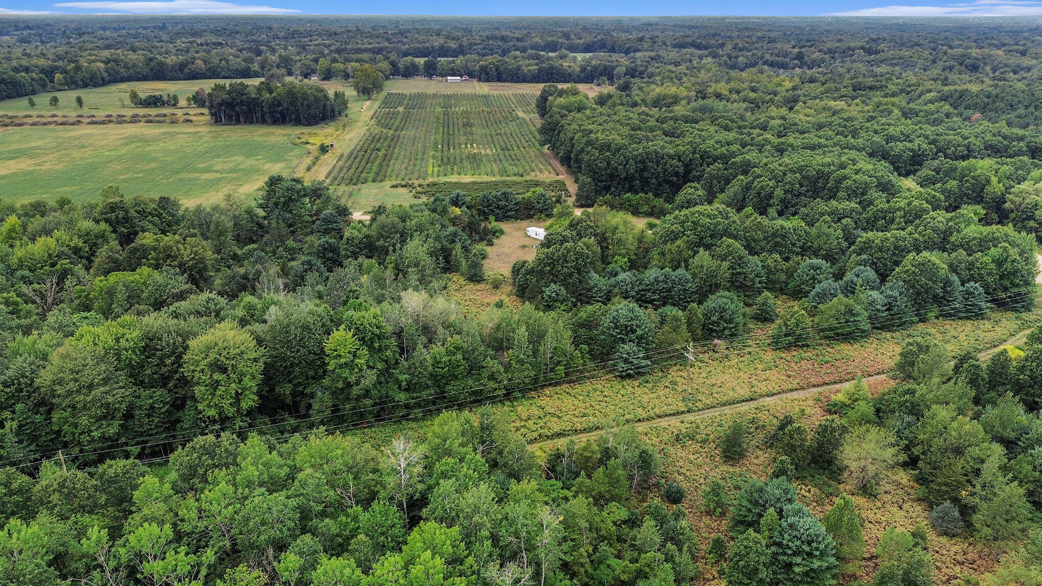 305 55th Street Grand Junction, MI 49056 - Photo 6 of 16 014_file_700