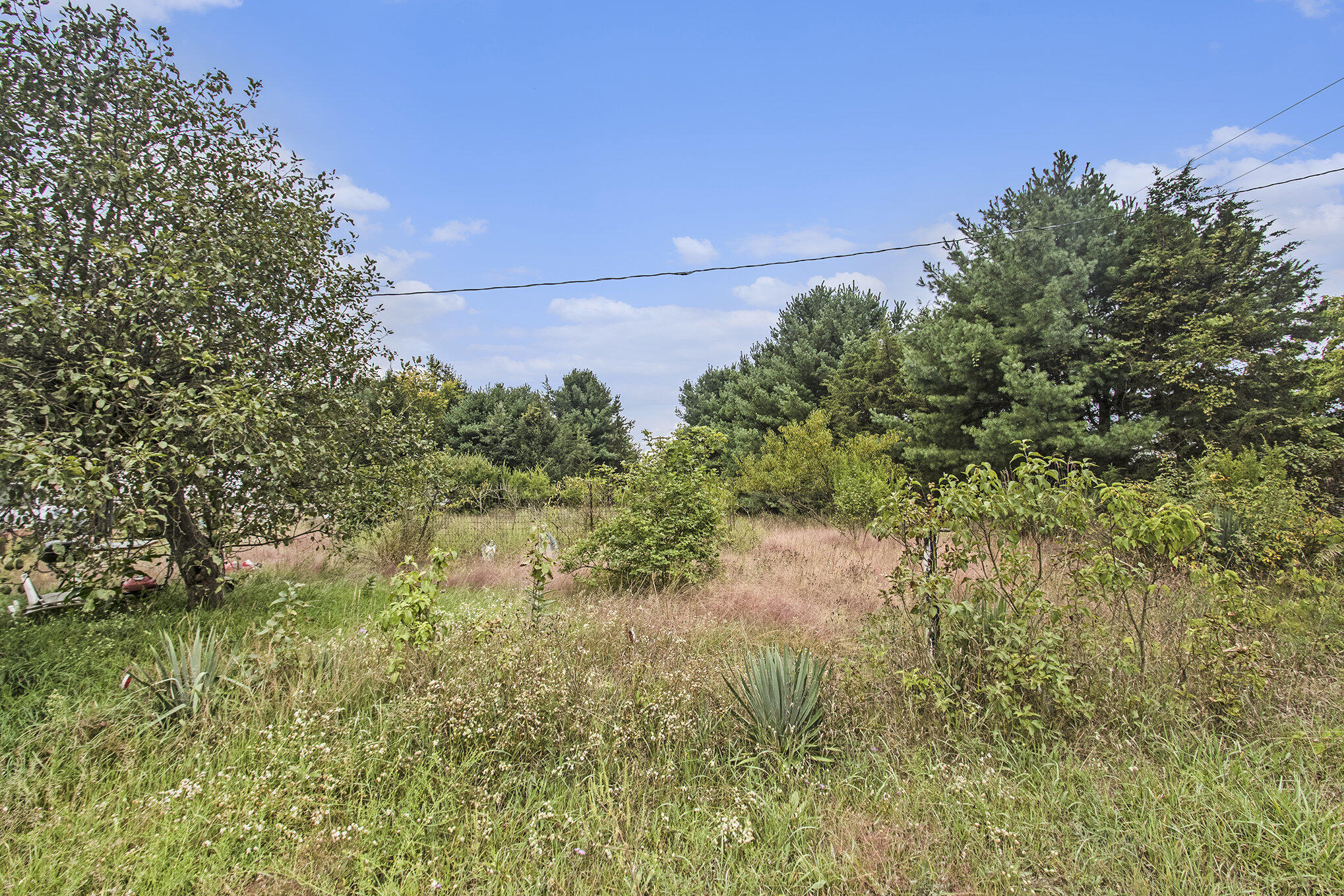 305 55th Street Grand Junction, MI 49056 - Photo 7 of 16 007_file_592
