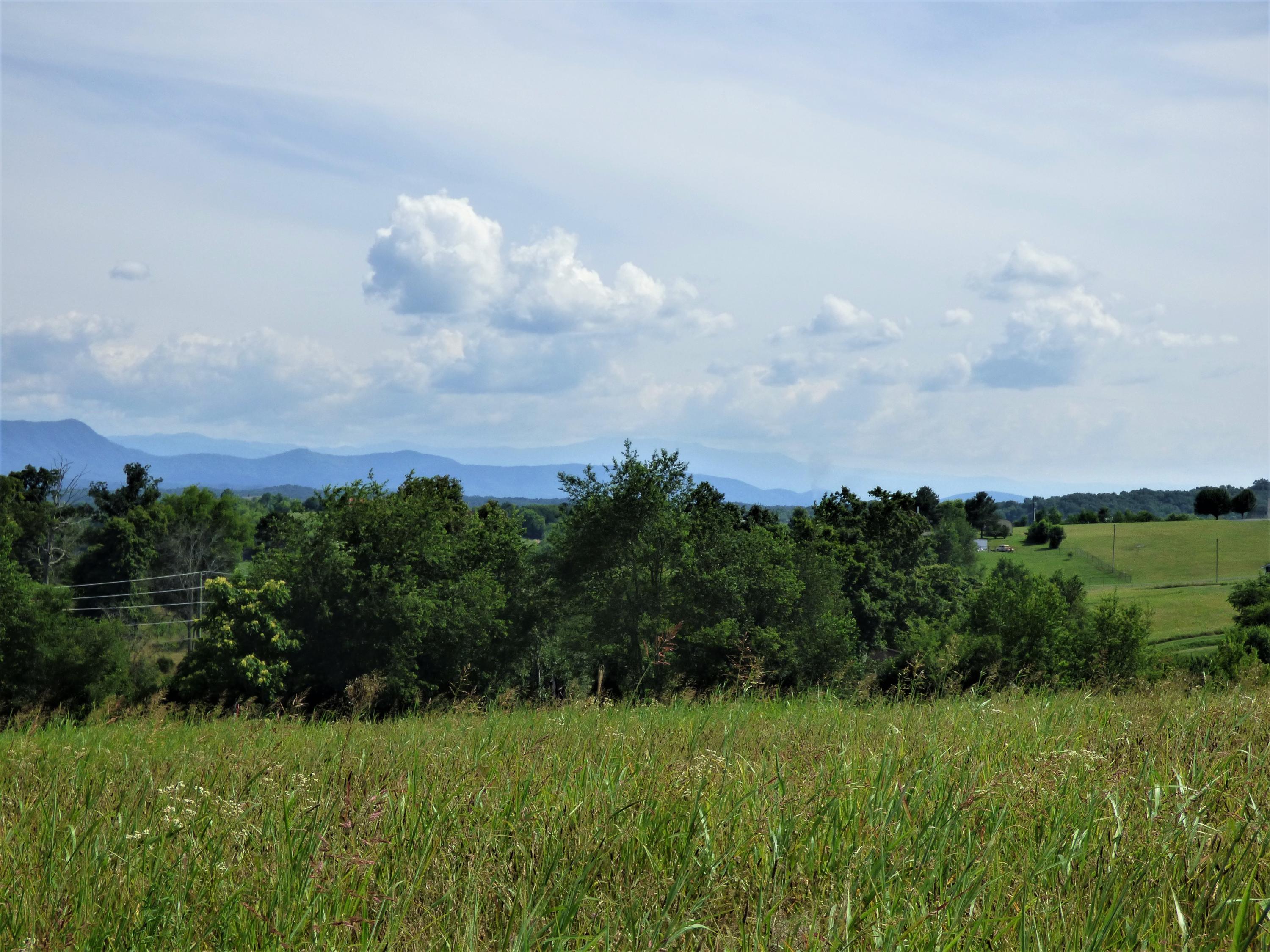 Lot 2 Falcon Road White Pine, TN 37890 - Photo 1 of 8 P1190285