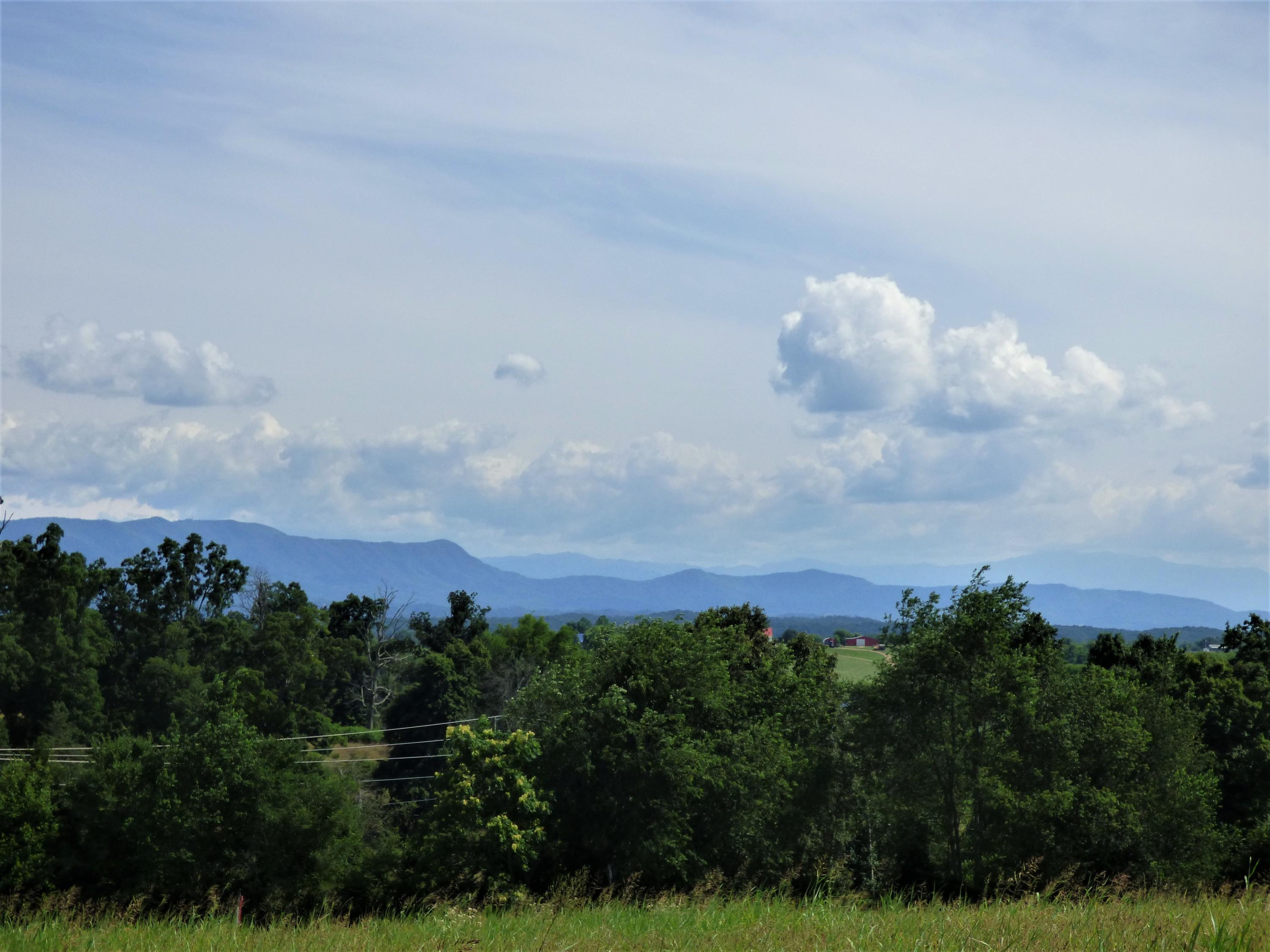 Lot 2 Falcon Road White Pine, TN 37890 - Photo 2 of 8 P1190286