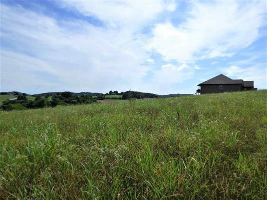 Lot 2 Falcon Road White Pine, TN 37890 - Photo 6 of 8 589354-7