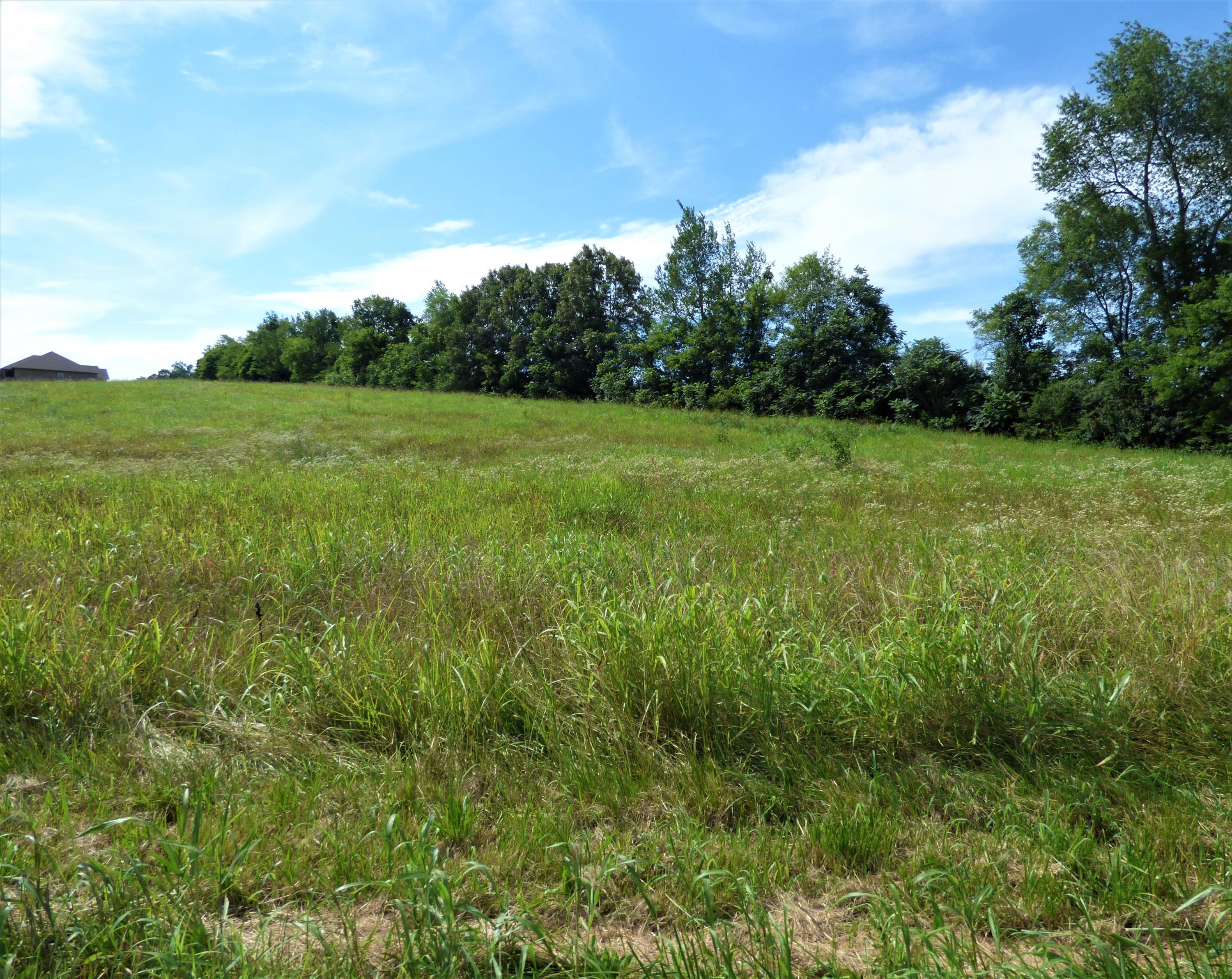 Lot 2 Falcon Road White Pine, TN 37890 - Photo 7 of 8 P1190294