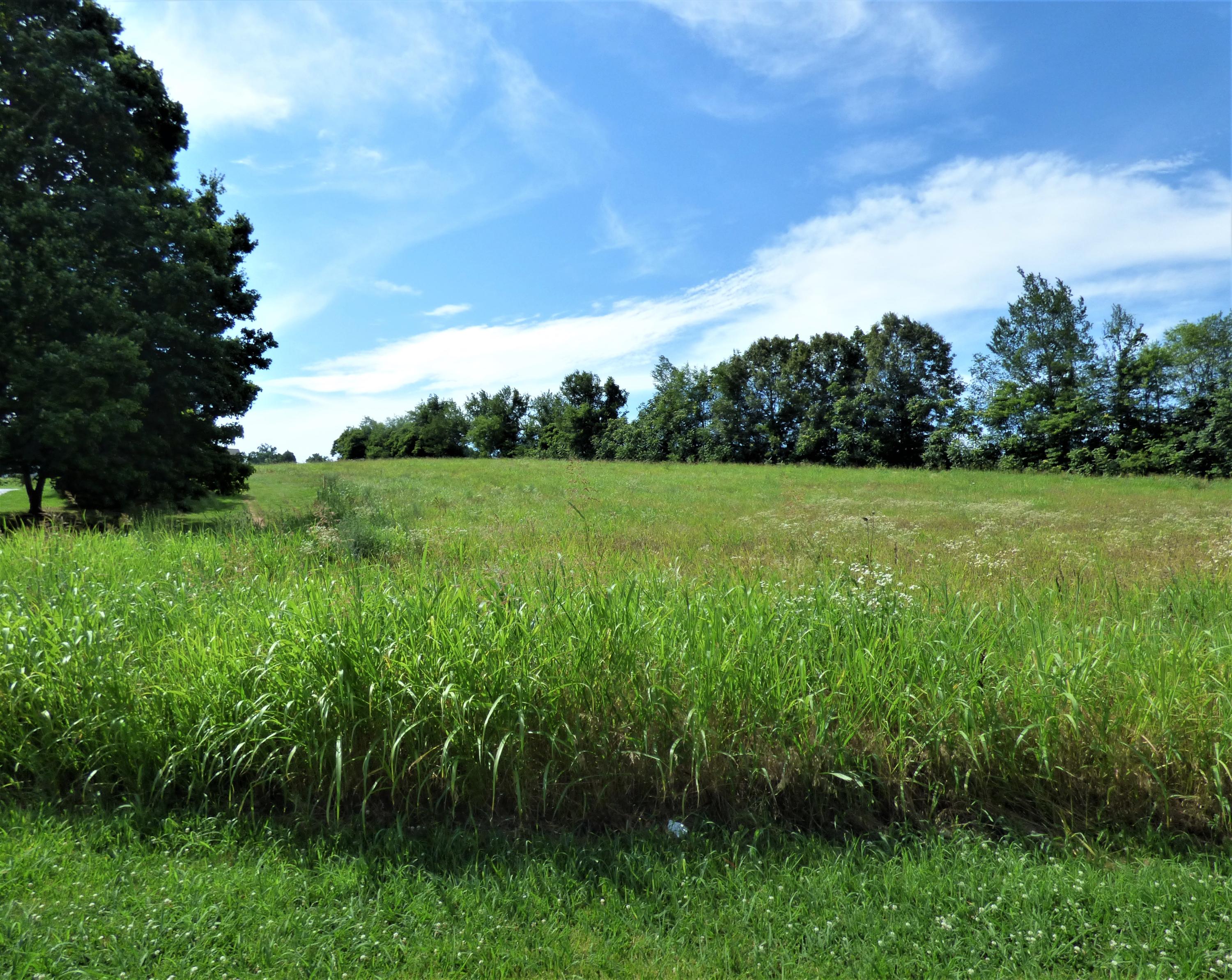Lot 2 Falcon Road White Pine, TN 37890 - Photo 8 of 8 P1190295