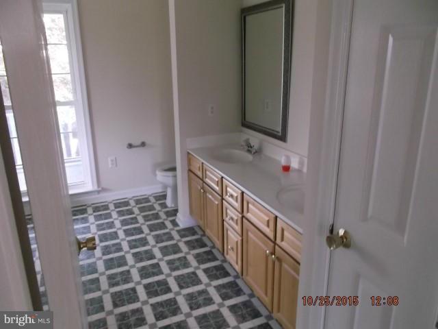 7830 Broad Neck Road Chestertown, MD 21620 - Photo 15 of 18 Bath (Master)