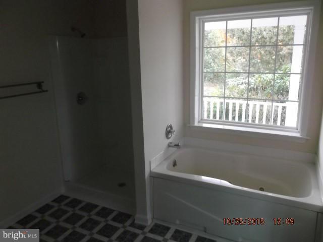 7830 Broad Neck Road Chestertown, MD 21620 - Photo 16 of 18 Bath (Master)