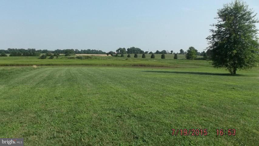7830 Broad Neck Road Chestertown, MD 21620 - Photo 3 of 18 View across the front yard