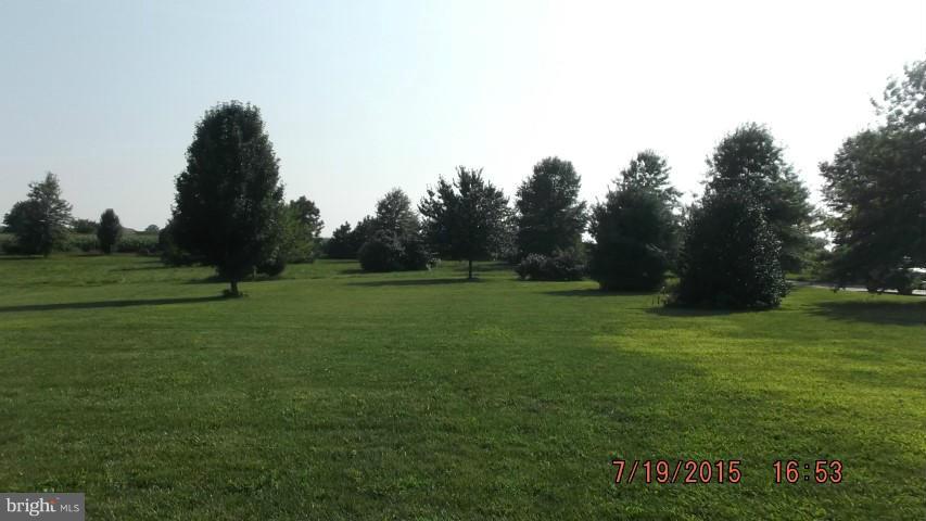 7830 Broad Neck Road Chestertown, MD 21620 - Photo 4 of 18 View out over the back yard