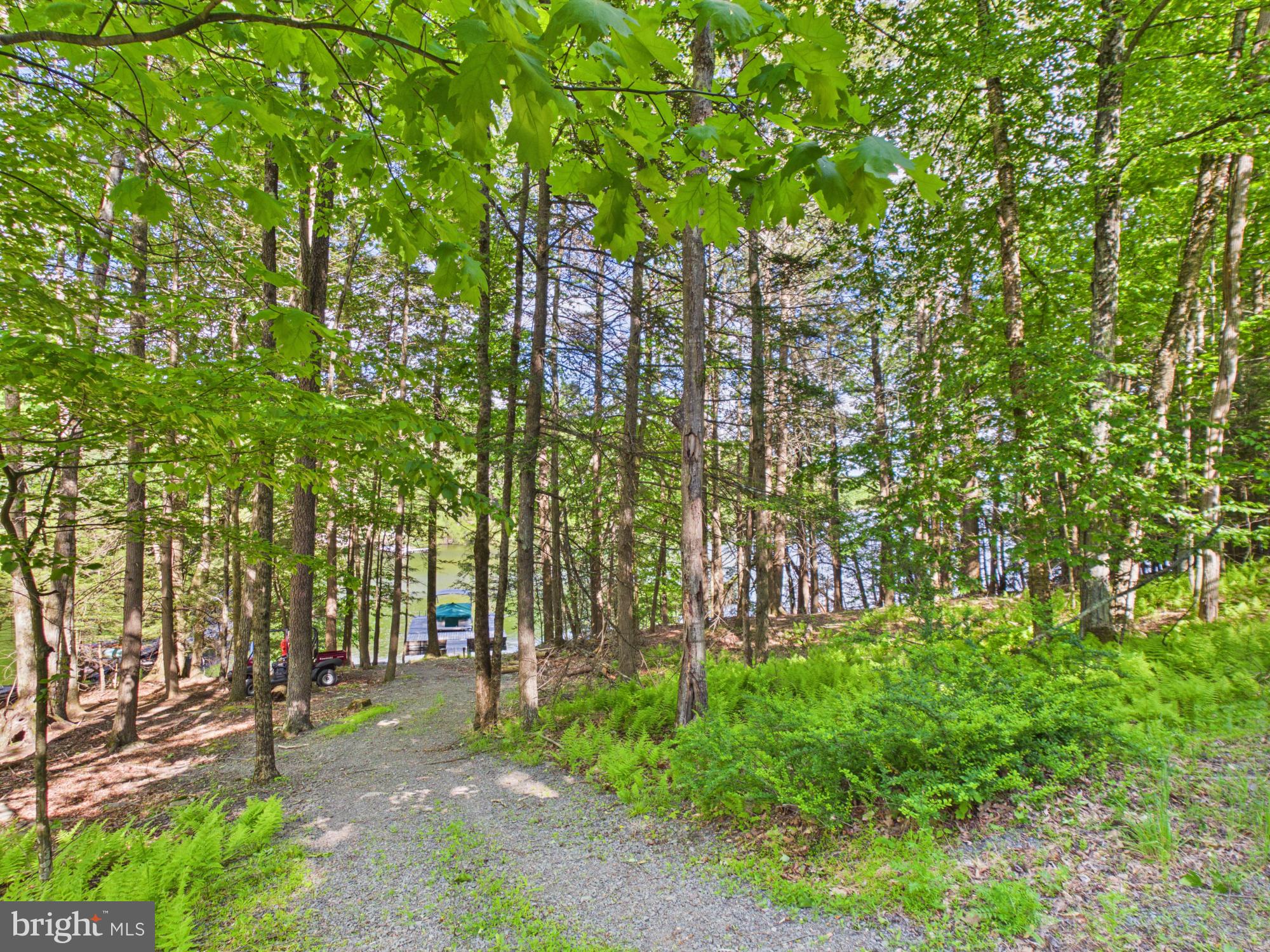 477 Finn Swamp Road Lakeville, PA 18438 - Photo 42 of 53 Gravel entrance to the dock