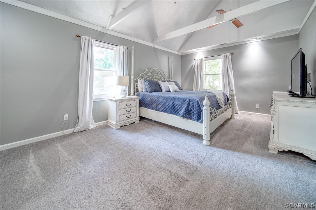 8900 Peach Grove Road North Chesterfield, VA 23237 - Photo 21 of 22 Gallery Image 21