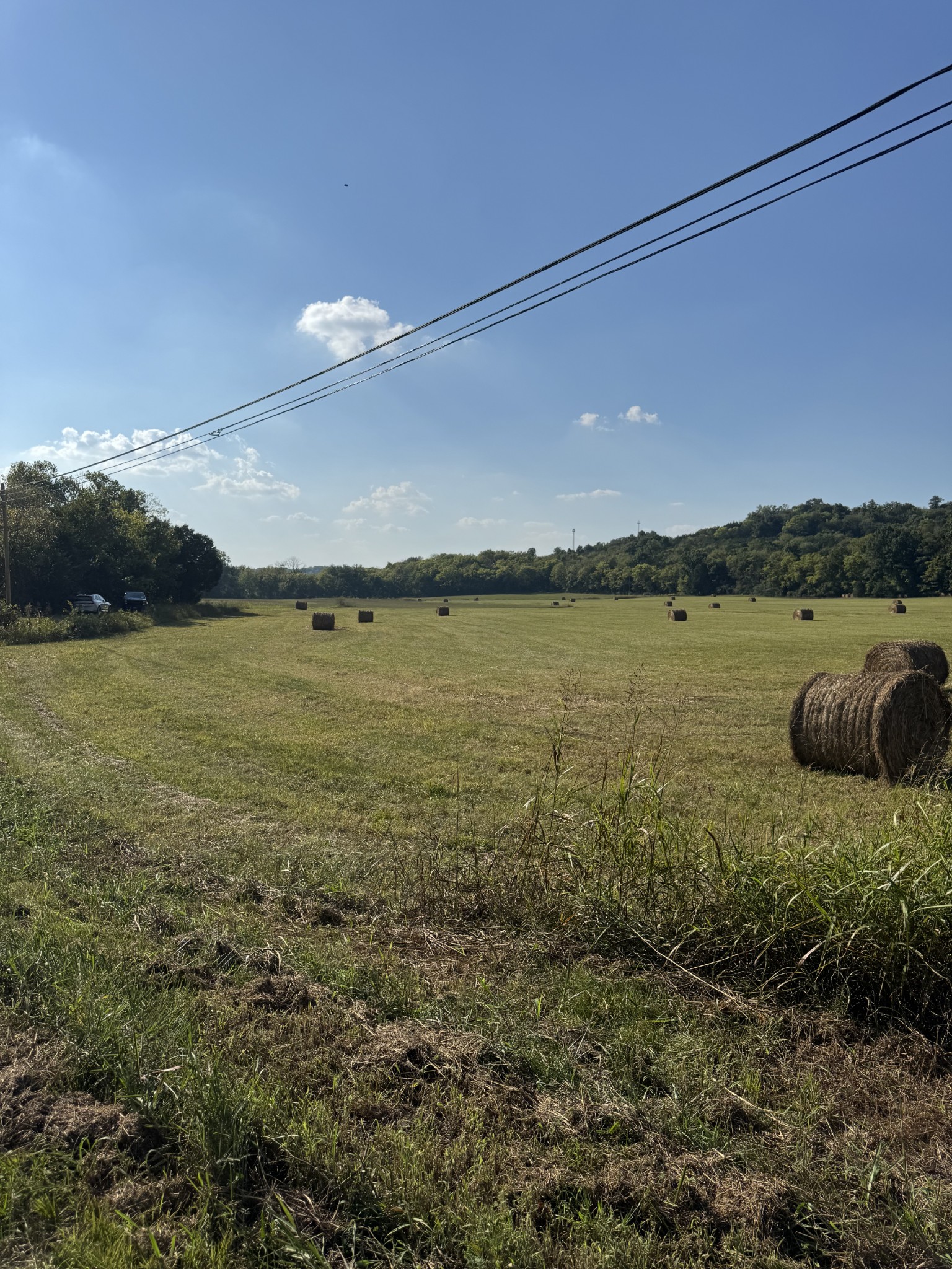 0 Cheatham Springs Road Wartrace, TN 37183 - Photo 7 of 9