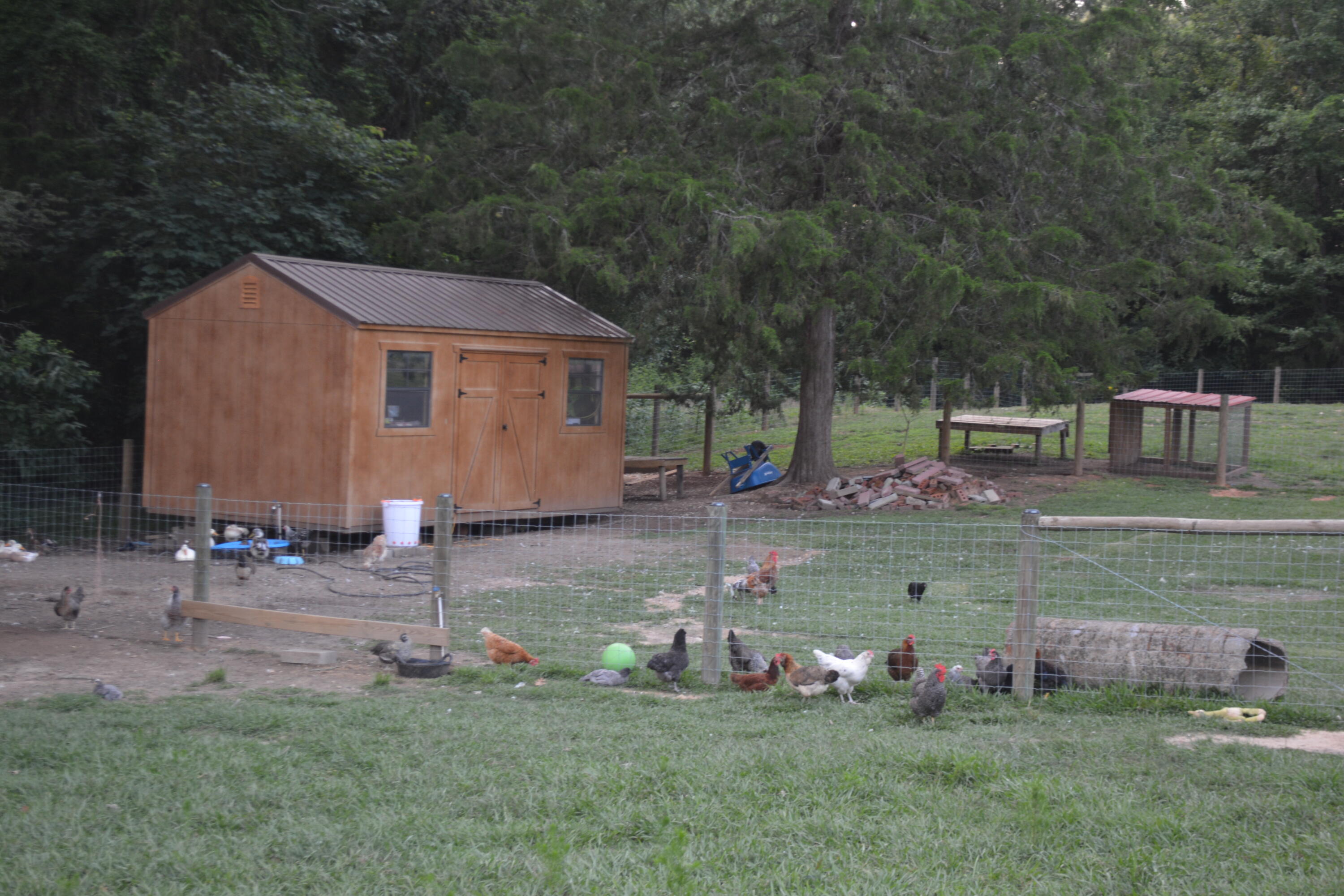 2126 Cedar Grove Road Leesville, SC 29070 - Photo 8 of 74