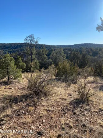 $9,650 | 51804 Corofro Road, Seligman, AZ 86337