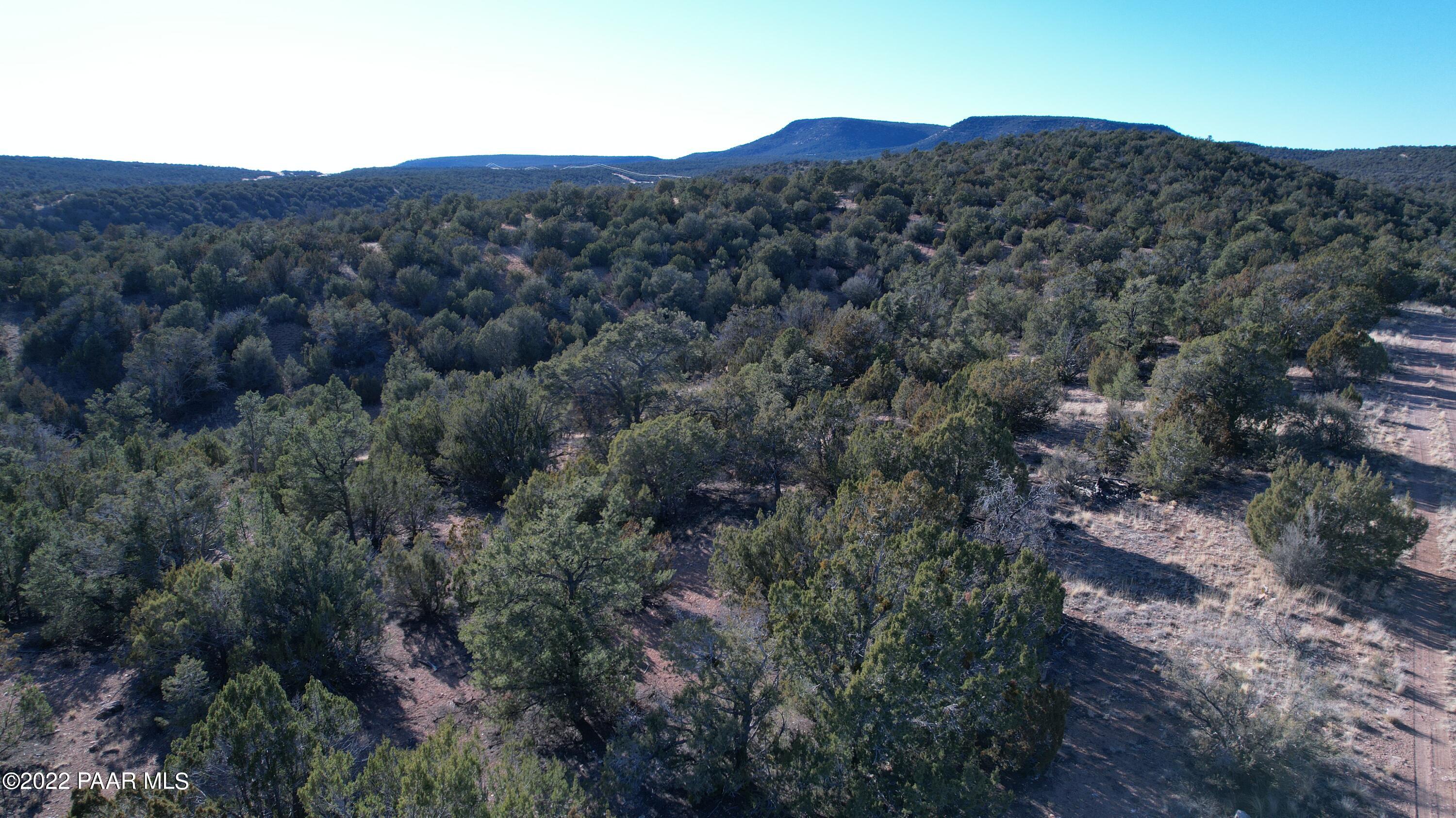 51804 Corofro Road Seligman, AZ 86337 - Photo 2 of 7 DJI_0164