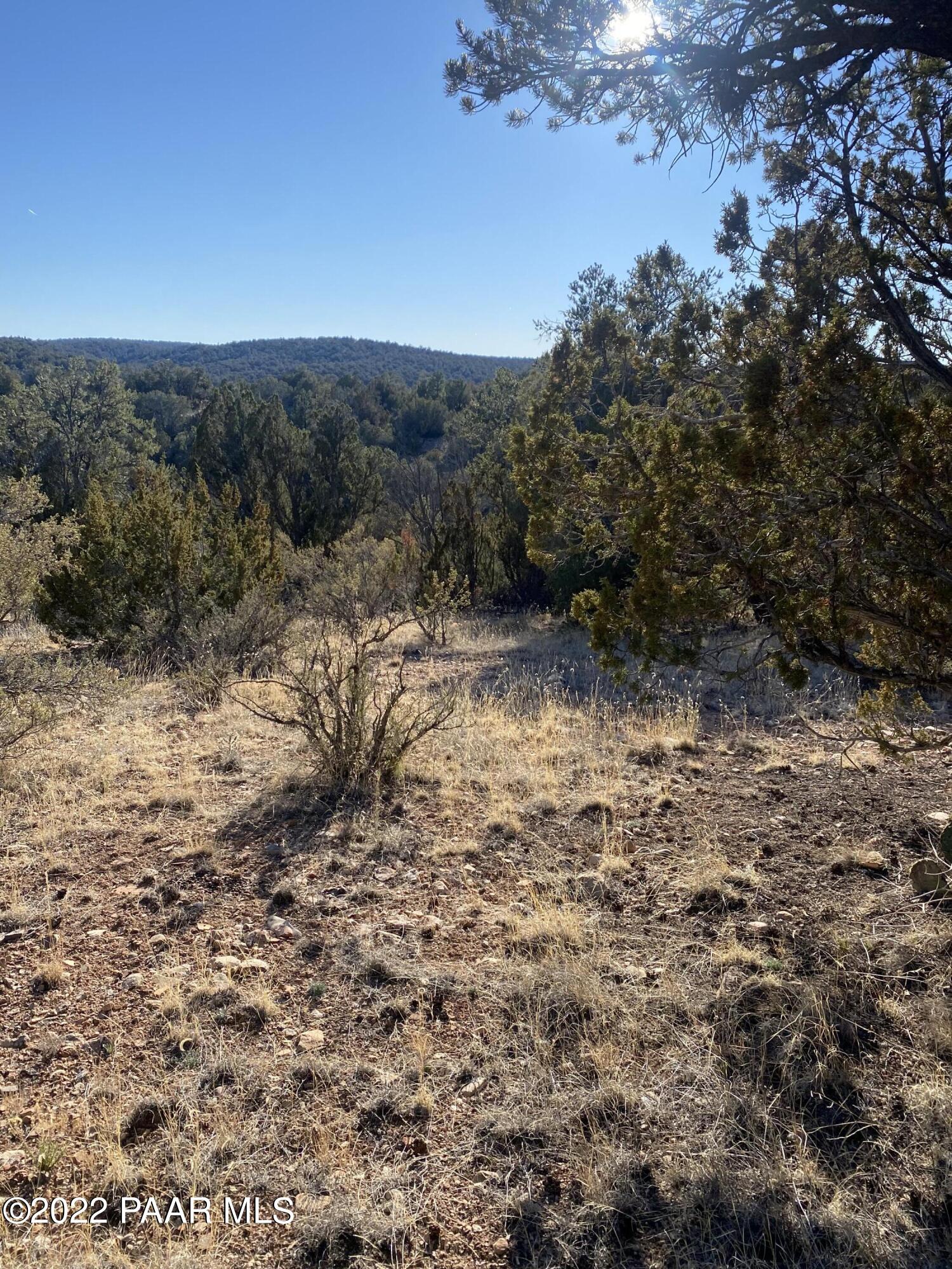 51804 Corofro Road Seligman, AZ 86337 - Photo 5 of 7 IMG-6376