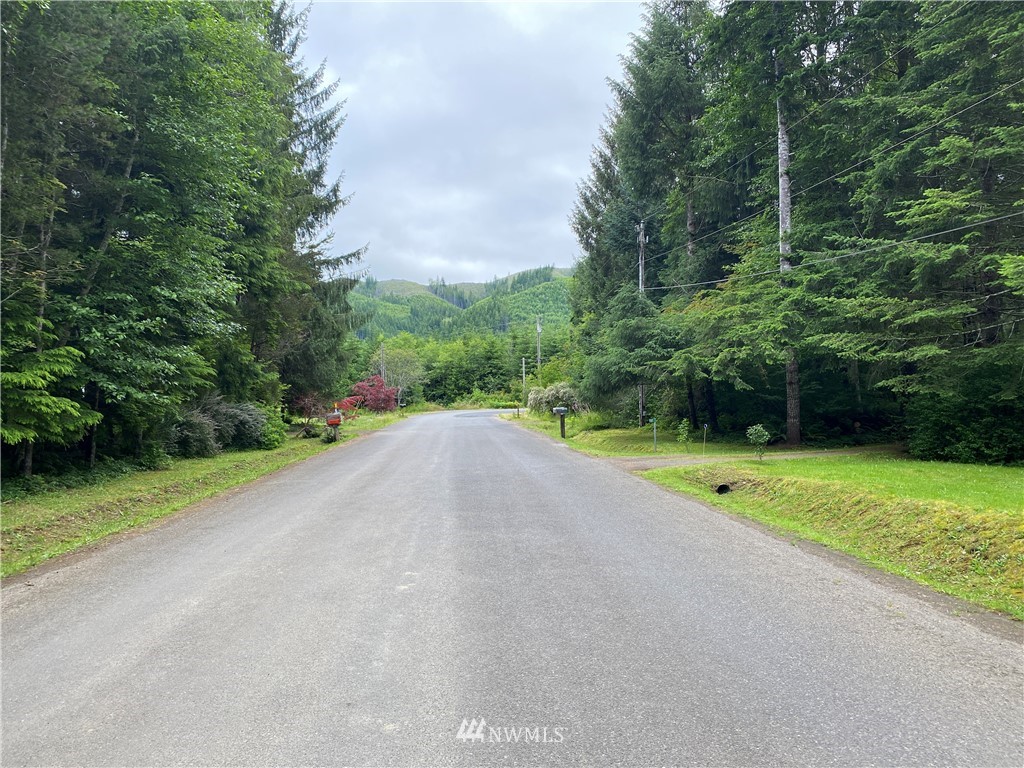 0 Elk Valley Road Forks, WA 98331 - Photo 11 of 18 Gallery Image 11