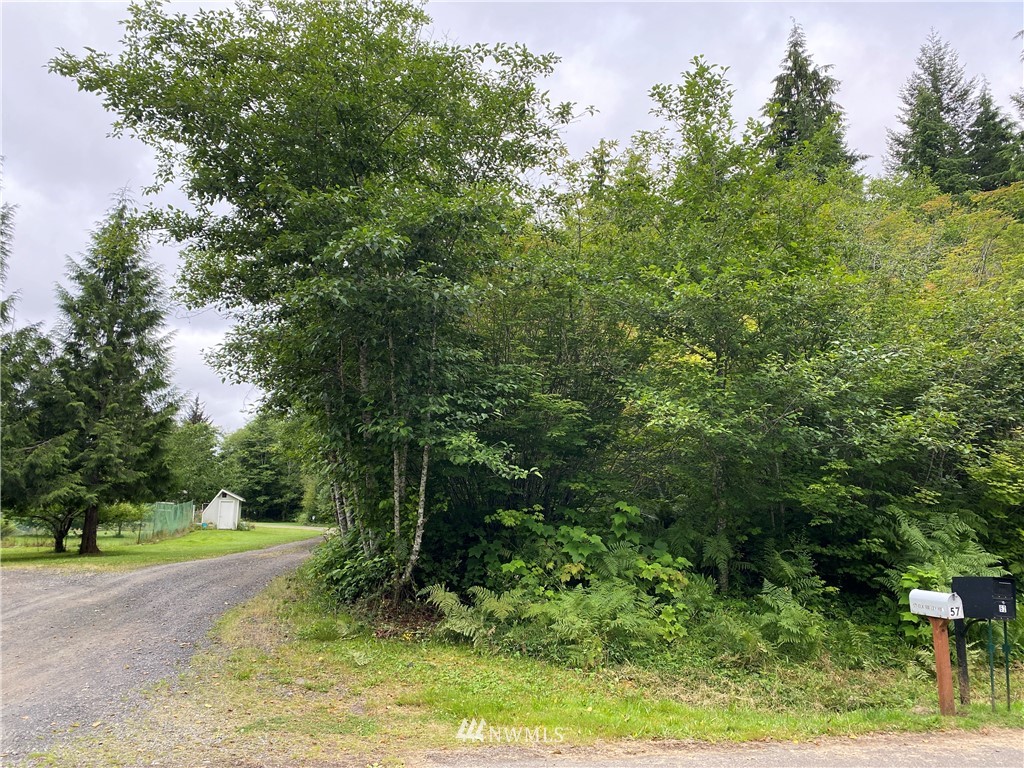 0 Elk Valley Road Forks, WA 98331 - Photo 12 of 18 Gallery Image 12