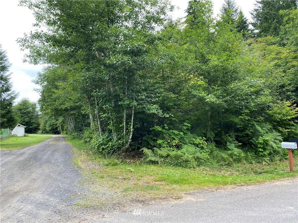0 Elk Valley Road Forks, WA 98331 - Photo 14 of 18 Gallery Image 14