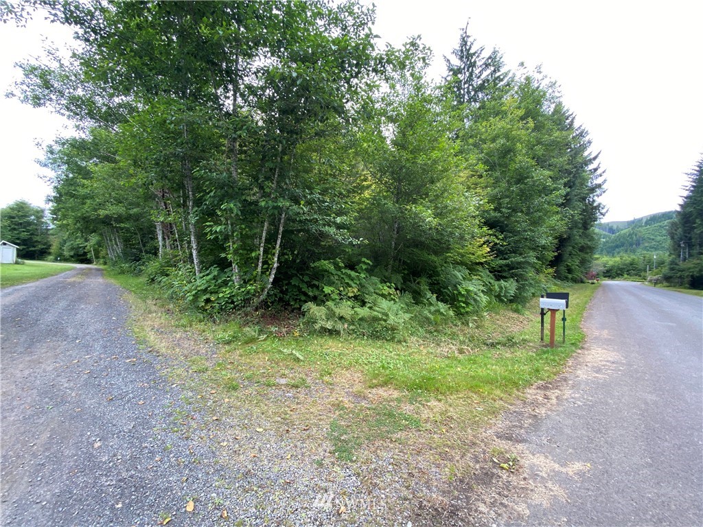 0 Elk Valley Road Forks, WA 98331 - Photo 16 of 18 Gallery Image 16