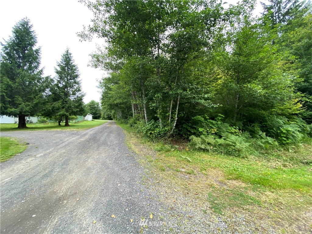 0 Elk Valley Road Forks, WA 98331 - Photo 17 of 18 Gallery Image 17