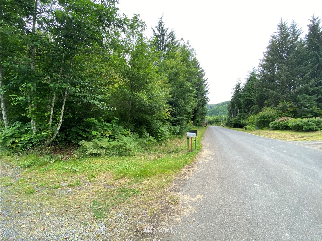 0 Elk Valley Road Forks, WA 98331 - Photo 18 of 18 Gallery Image 18