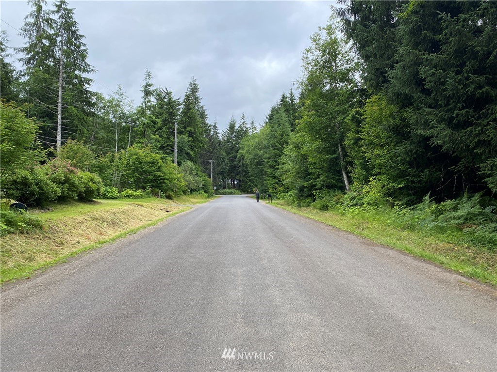 0 Elk Valley Road Forks, WA 98331 - Photo 10 of 18 Gallery Image 10