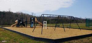 106 Bunchberry Road, Unit LOT 548 Oak Ridge, TN 37830 - Photo 11 of 23 Playground