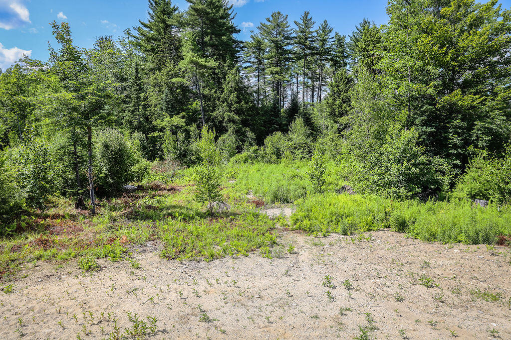 16 Ryerson Hill Road Paris, ME 04281 - Photo 16 of 58 0Q5A2984