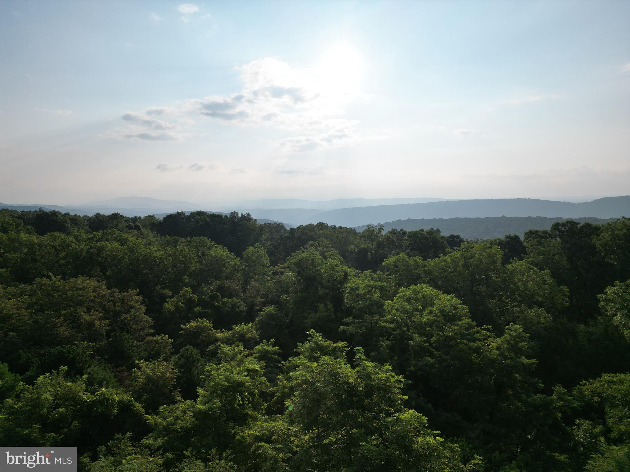 Lot 203 Graces Cabin Road Romney, WV 26757 - Photo 31 of 35 Gallery Image 31