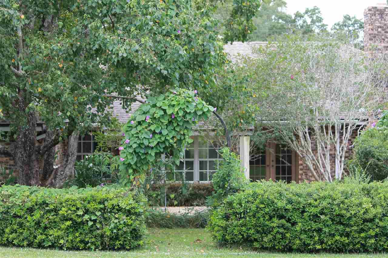 8808 Burning Tree Road Pensacola, FL 32514 - Photo 5 of 22 Gallery Image 5