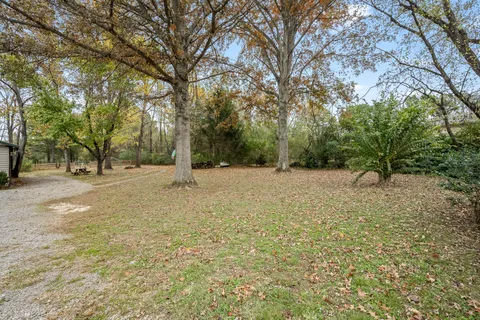 a view of dirt yard with a trees