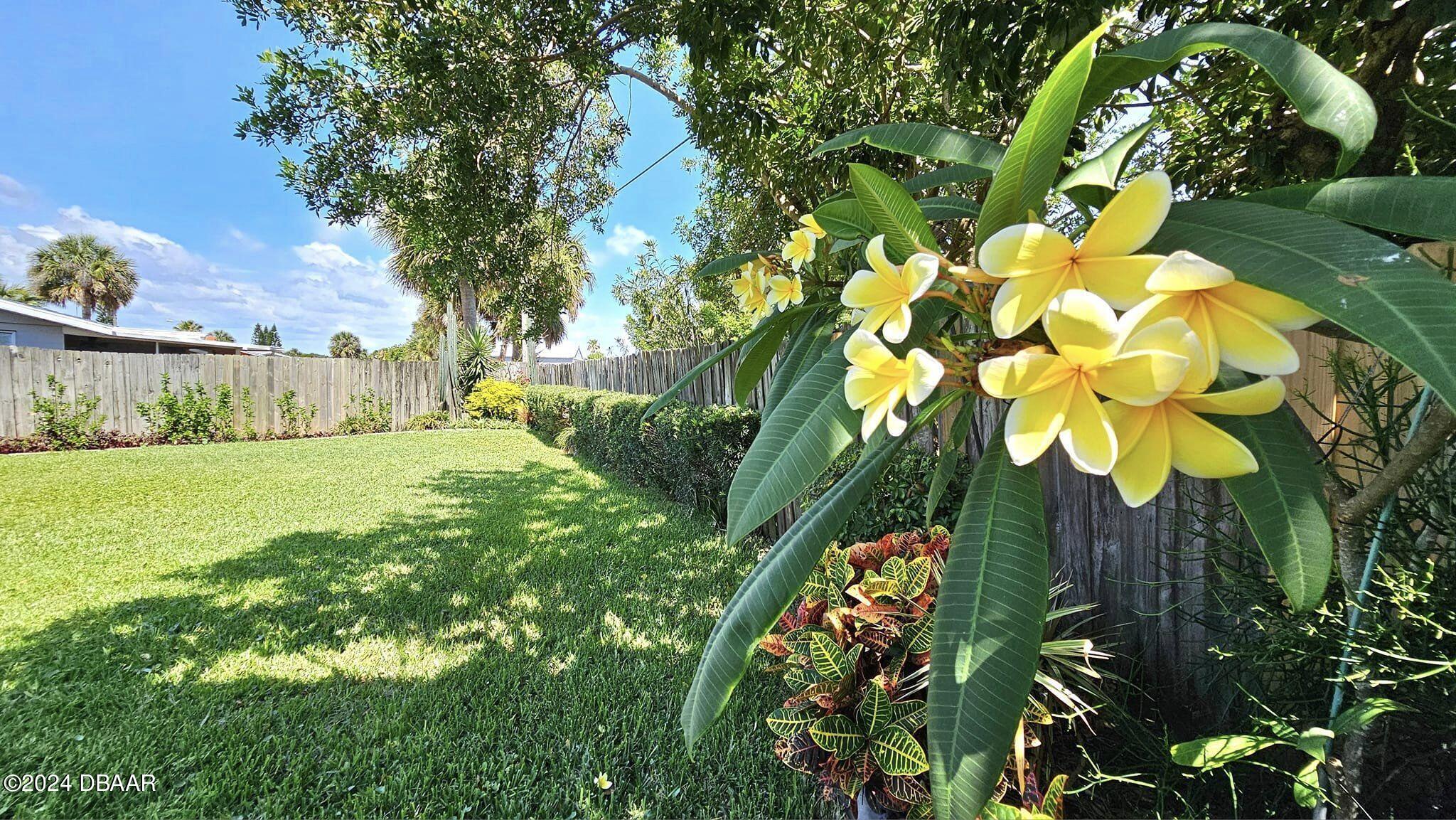 23 Palmetto Drive Ormond Beach, FL 32176 - Photo 42 of 42 Gorgeous back yard