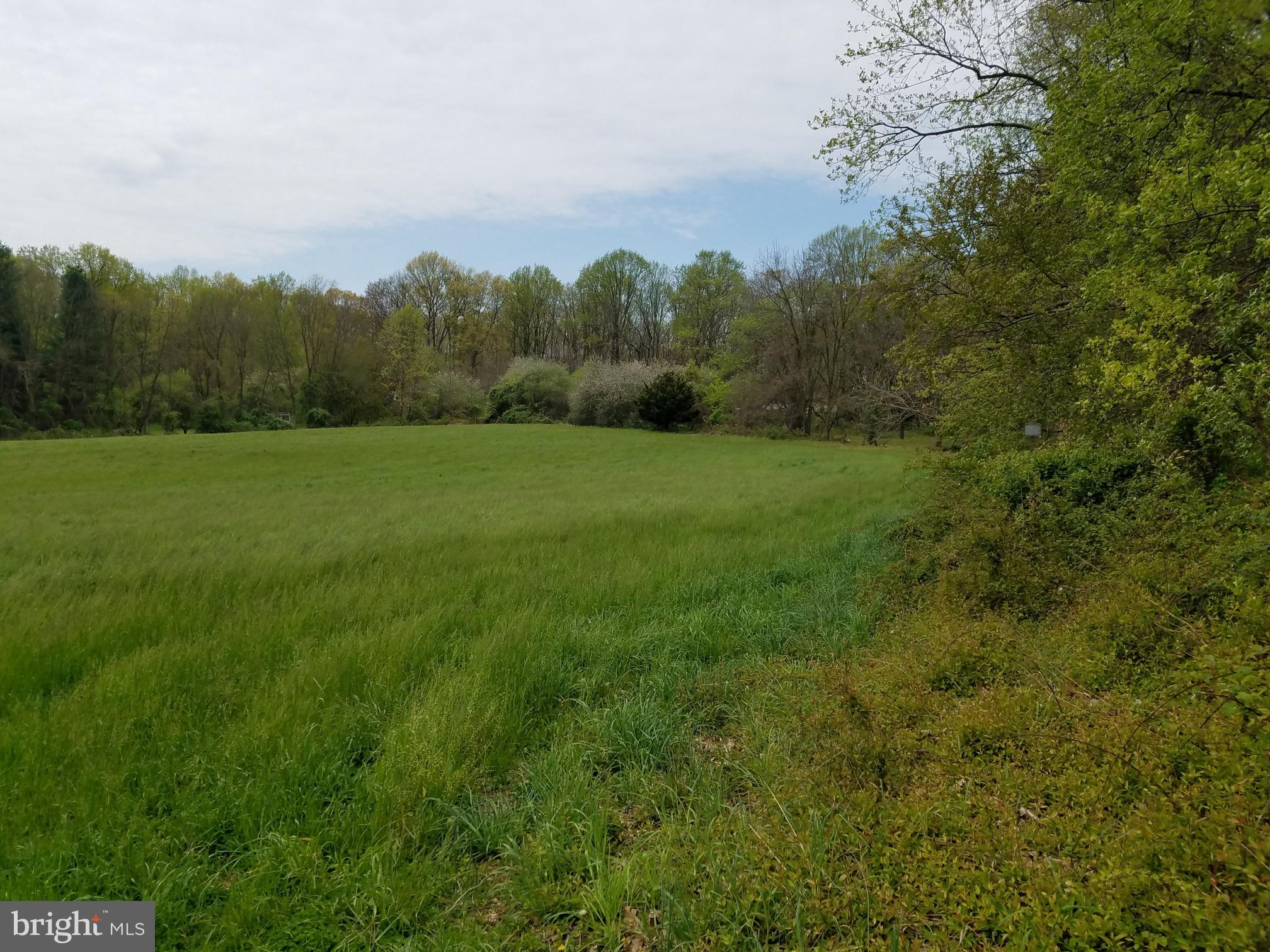 Old Rocks Road Street, MD 21154 - Photo 4 of 12 Beautiful open space surrounded by woods