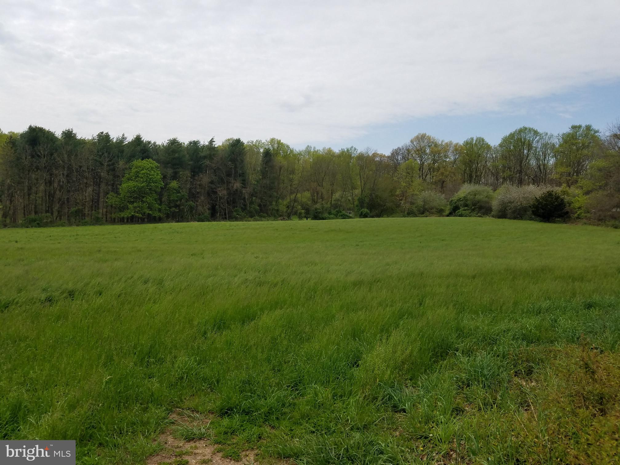 Old Rocks Road Street, MD 21154 - Photo 5 of 12 Great pasture for animals