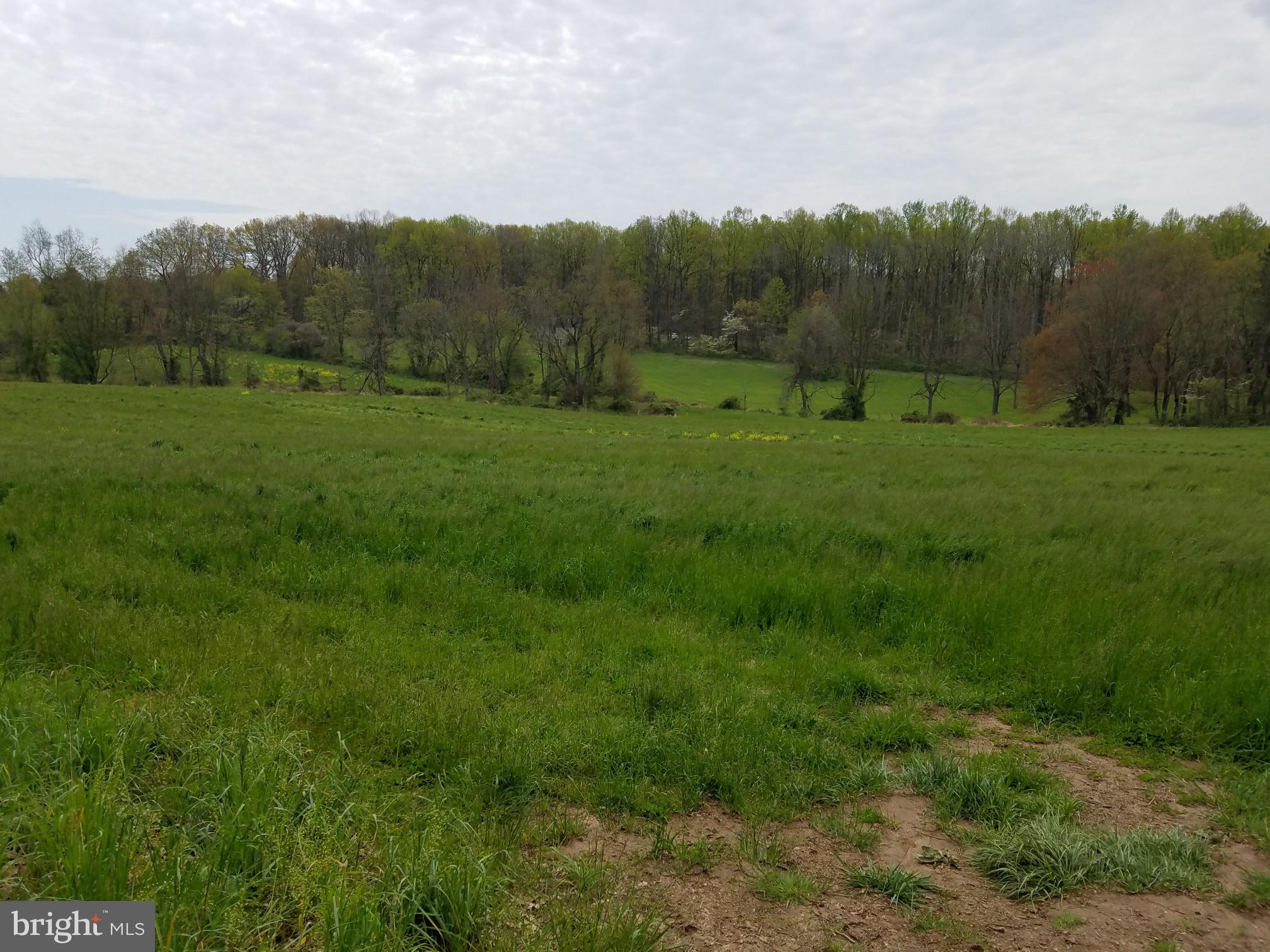 Old Rocks Road Street, MD 21154 - Photo 6 of 12 Gently rolling topography