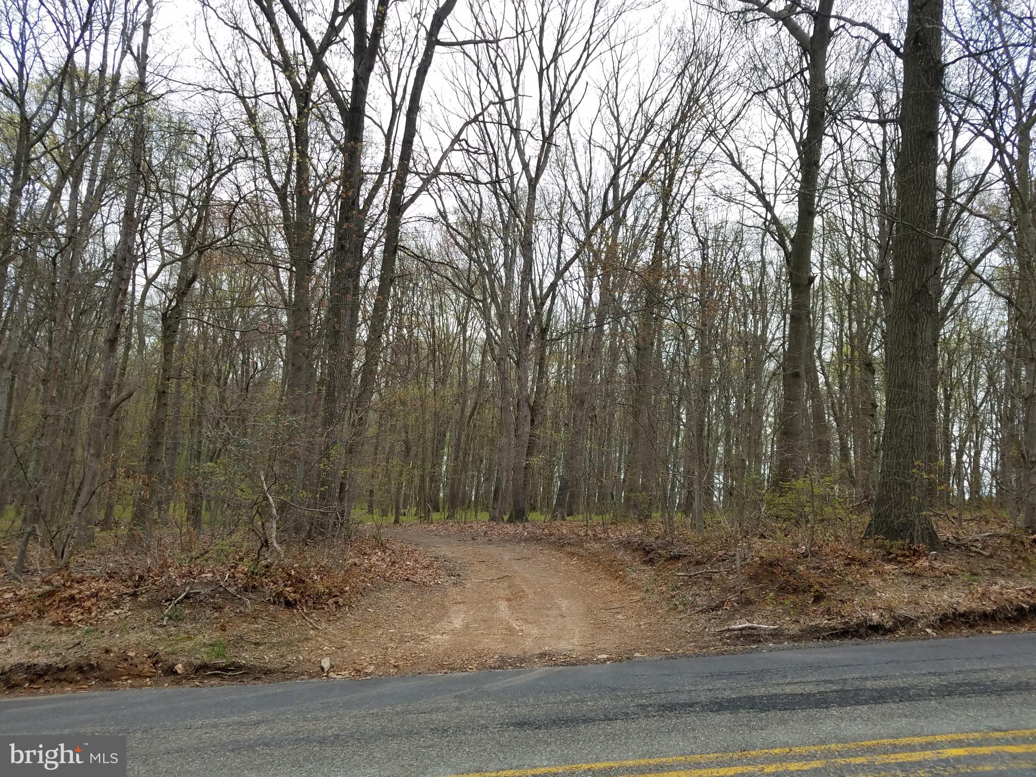 Old Rocks Road Street, MD 21154 - Photo 8 of 12 Access road to the lot from Old Rocks Road