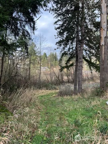 $60,000 | 701 Iron Street, Eatonville, WA 98328