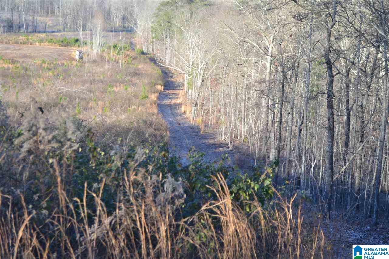 71 County Road, Unit 43 27 Woodland, AL 36280 - Photo 9 of 12