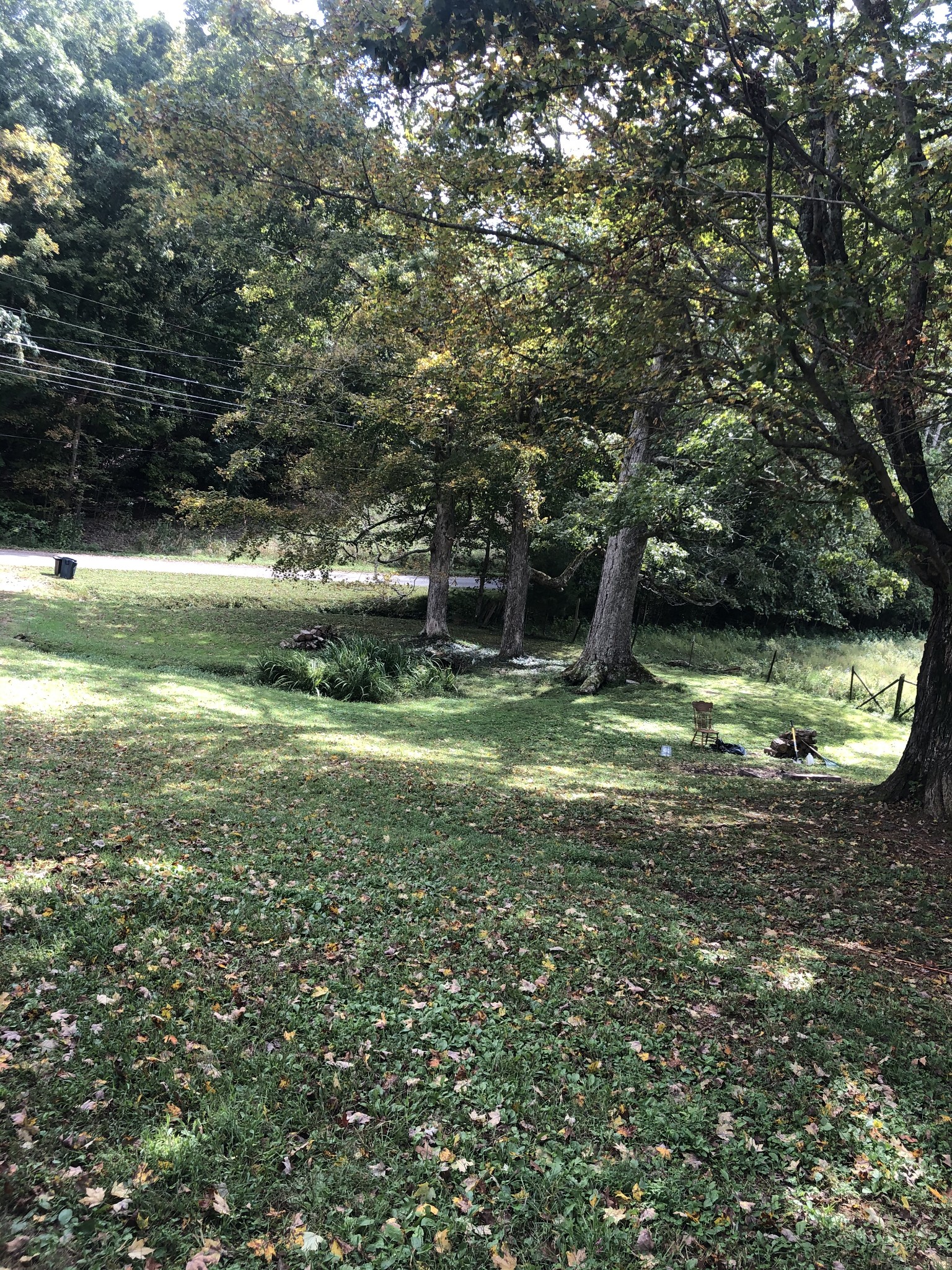2094 Ross Branch Road Erin, TN 37061 - Photo 9 of 24 Gallery Image 9