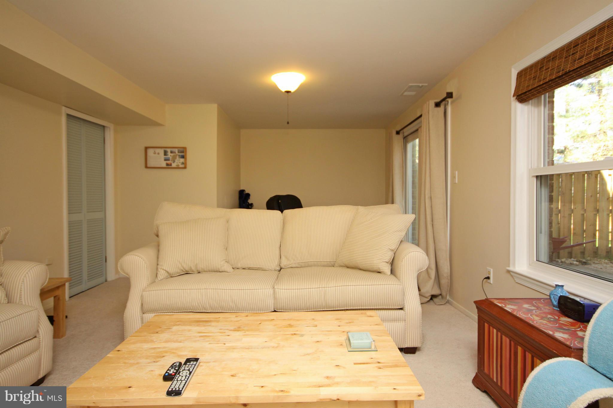 10902 Rock Coast Road Columbia, MD 21044 - Photo 18 of 30 Basement