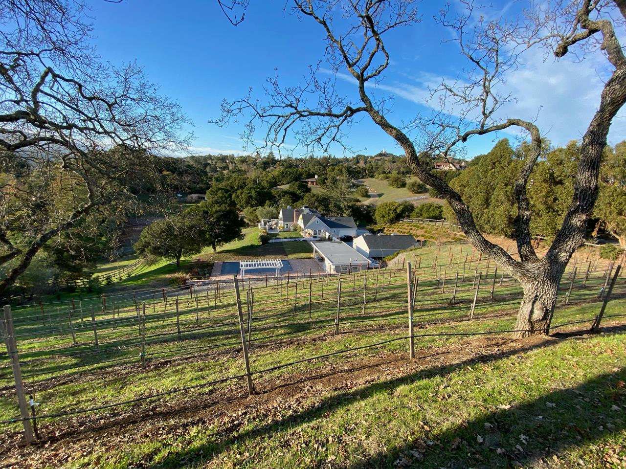 1075 Godetia Drive Woodside, CA 94062 - Photo 32 of 33 a view of a backyard with a garden