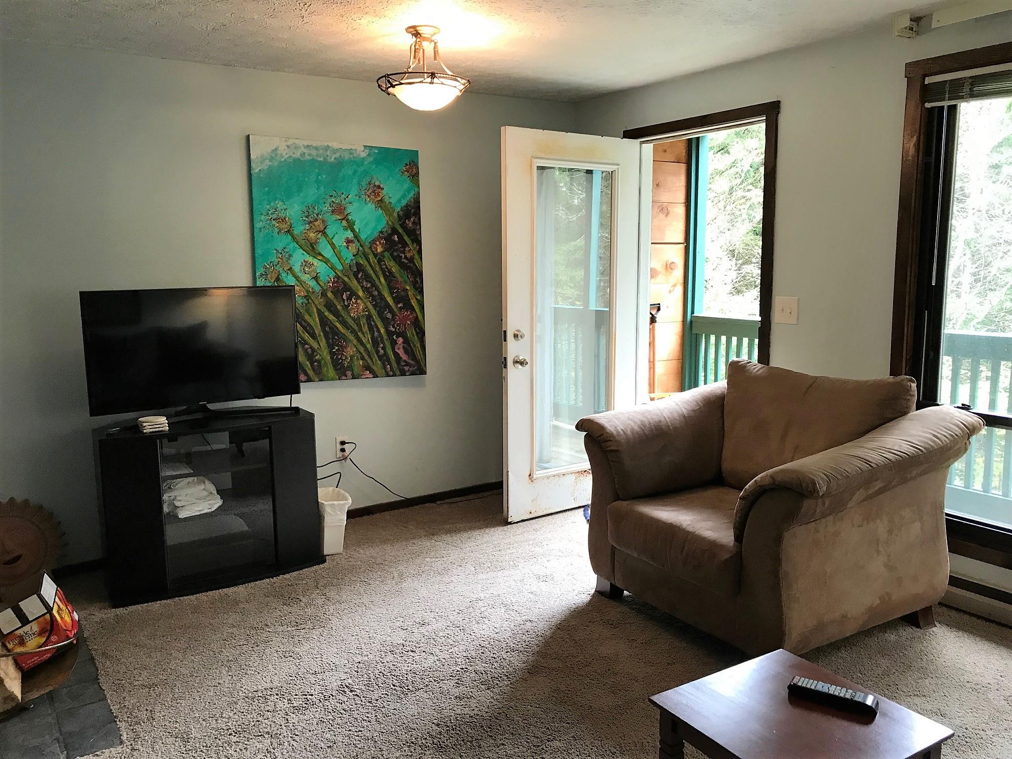 68 Ridgewood Street Snowshoe, WV 26209 - Photo 3 of 15 Gallery Image 3