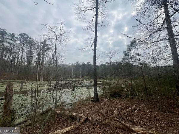 $174,900 | 0 Bethlehem Church Road, Grantville, GA 30220