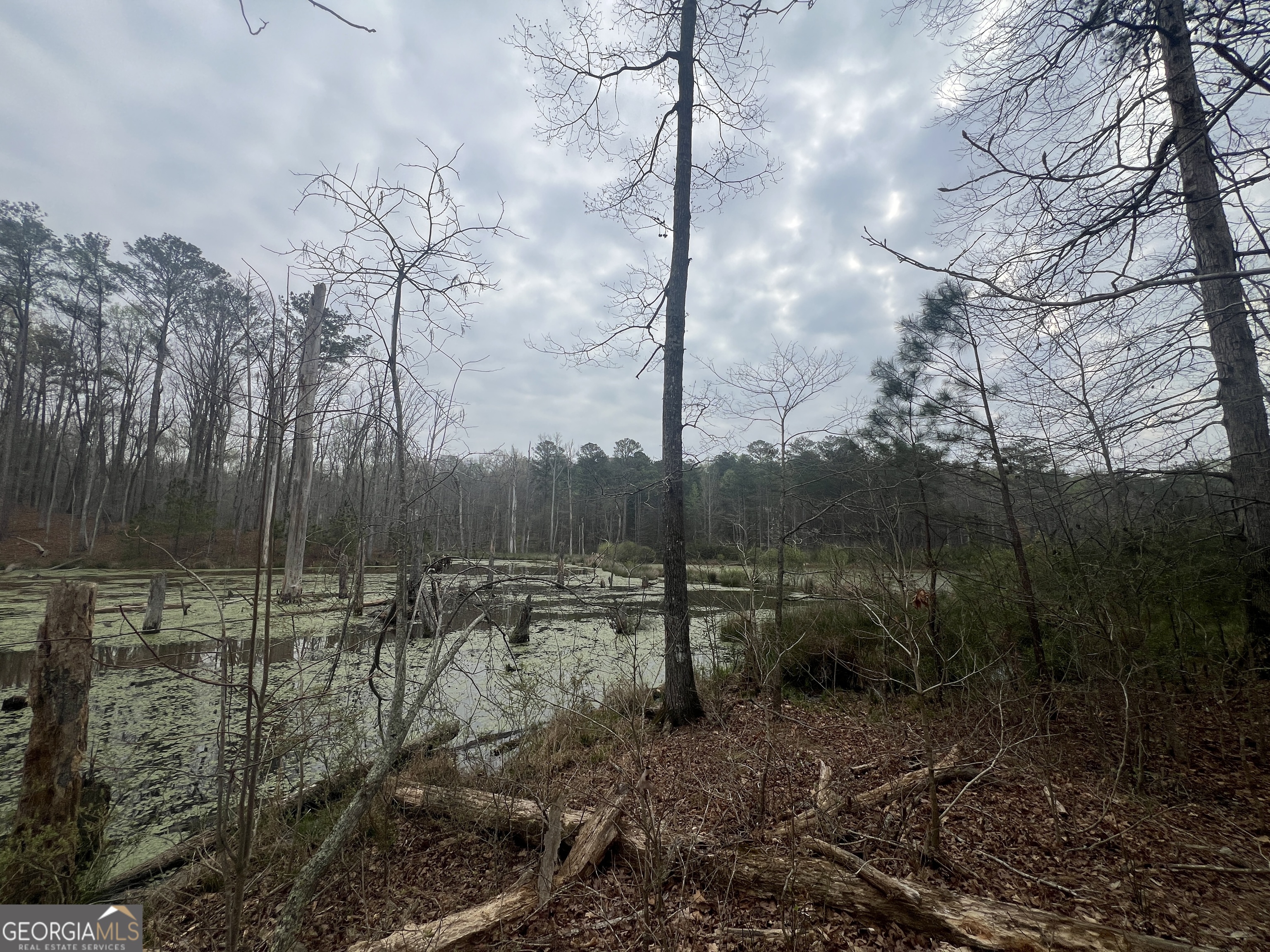 0 Bethlehem Church Road Grantville, GA 30220 - Photo 1 of 6