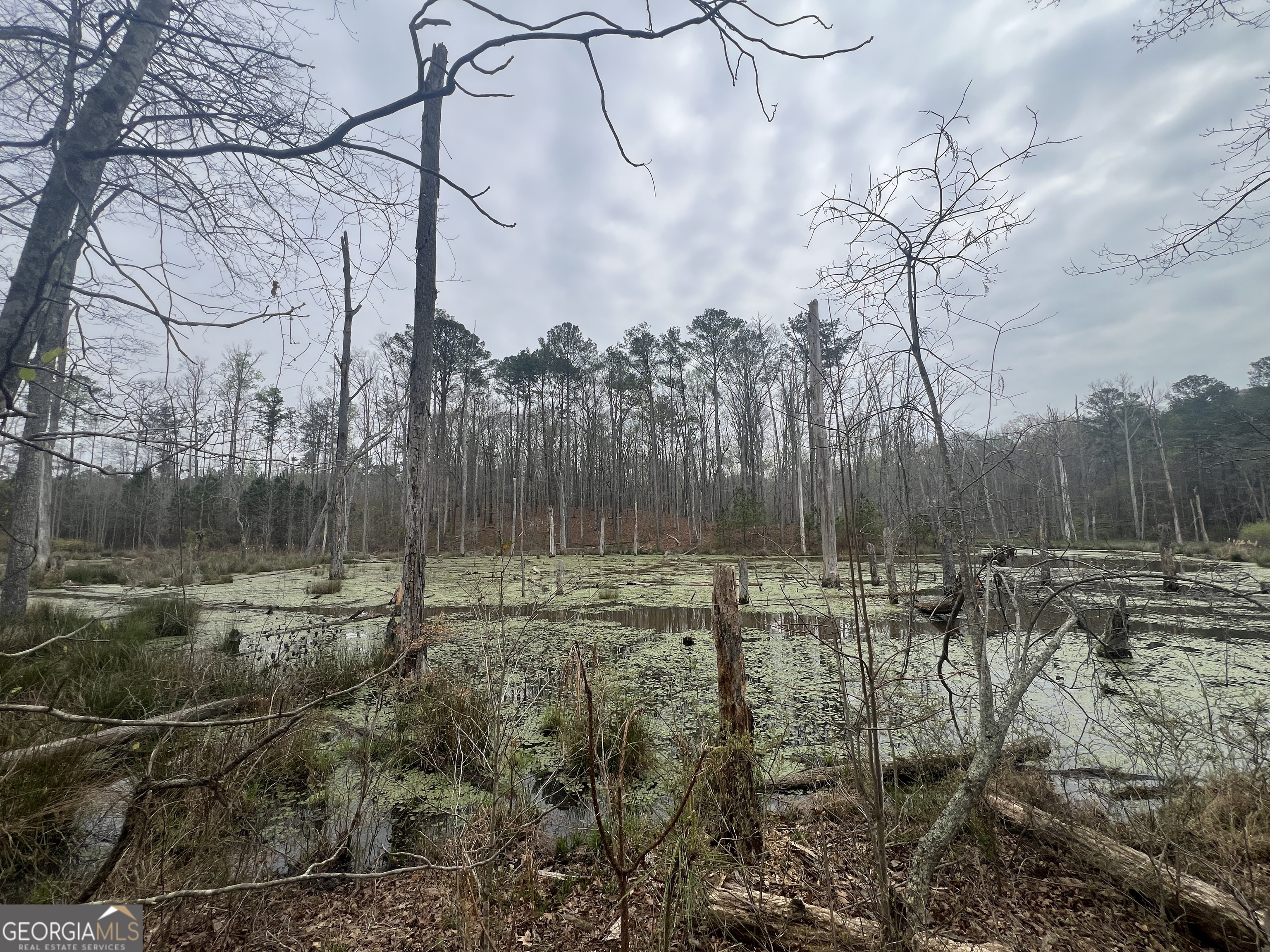 0 Bethlehem Church Road Grantville, GA 30220 - Photo 2 of 6